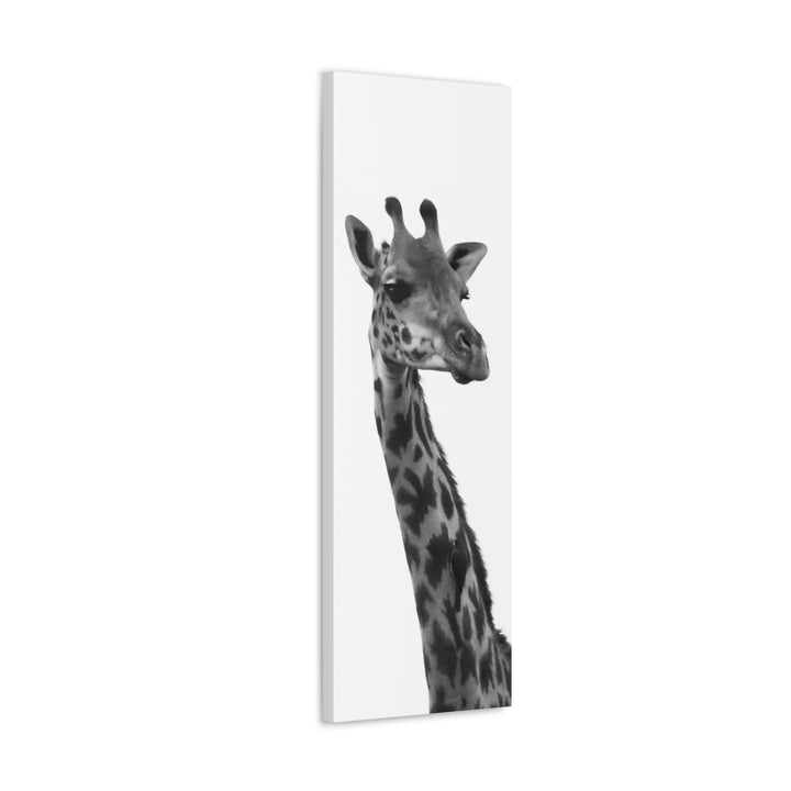 Giraffe Portrait in Black and White  - Canvas