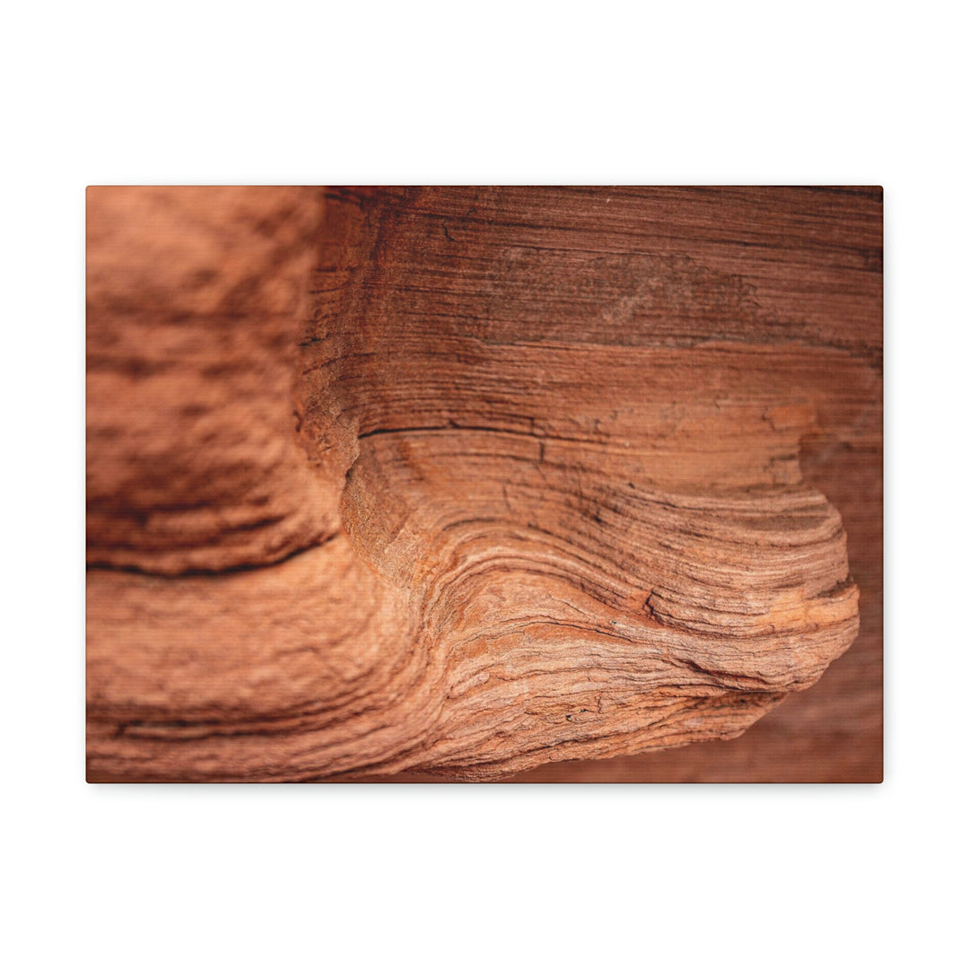 Sedimentary Rock Curves - Canvas