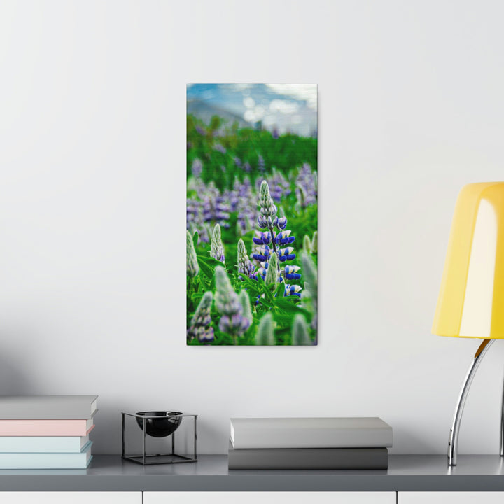 Glowing Lupin with Mountains - Canvas