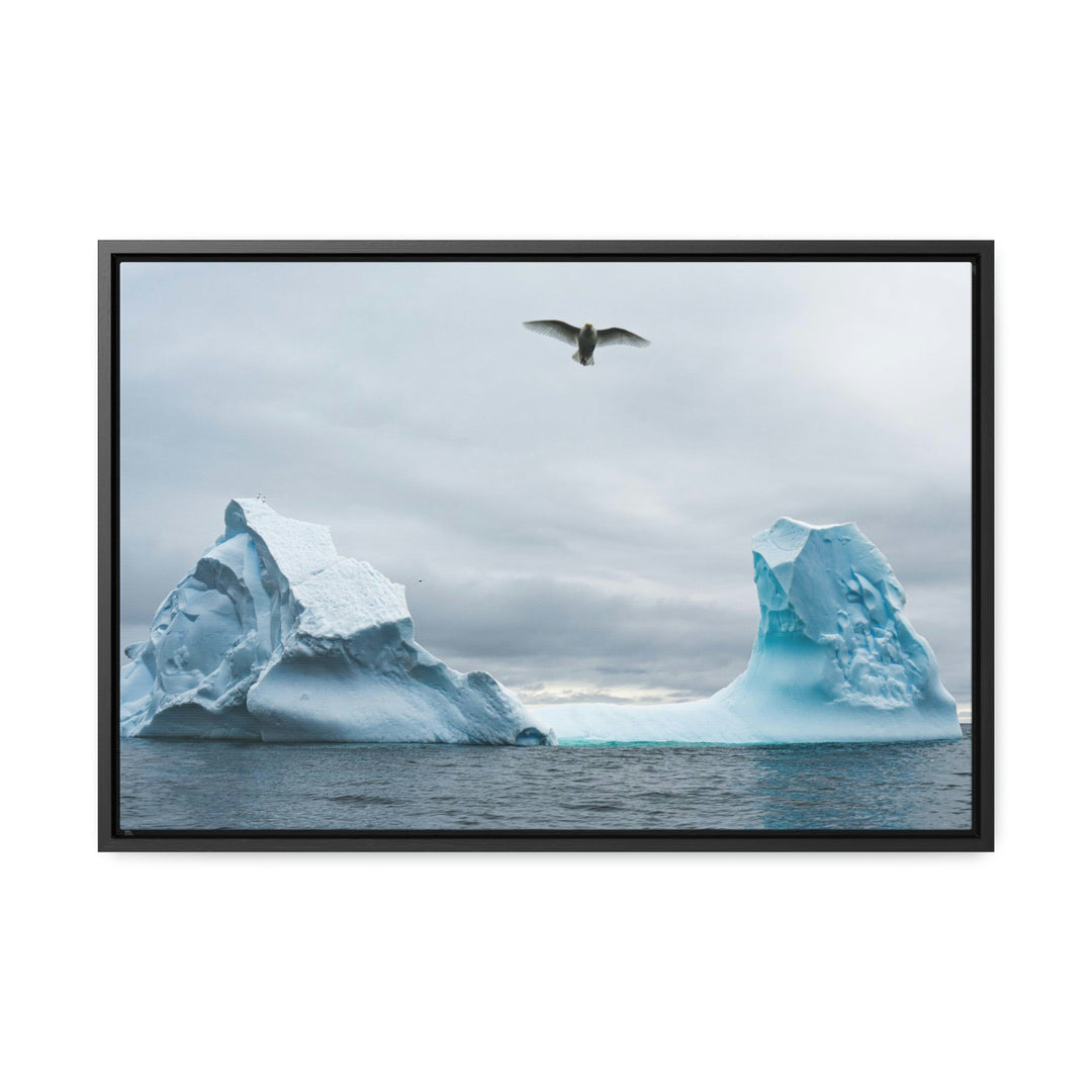 Antarctic Flight - Canvas with Frame