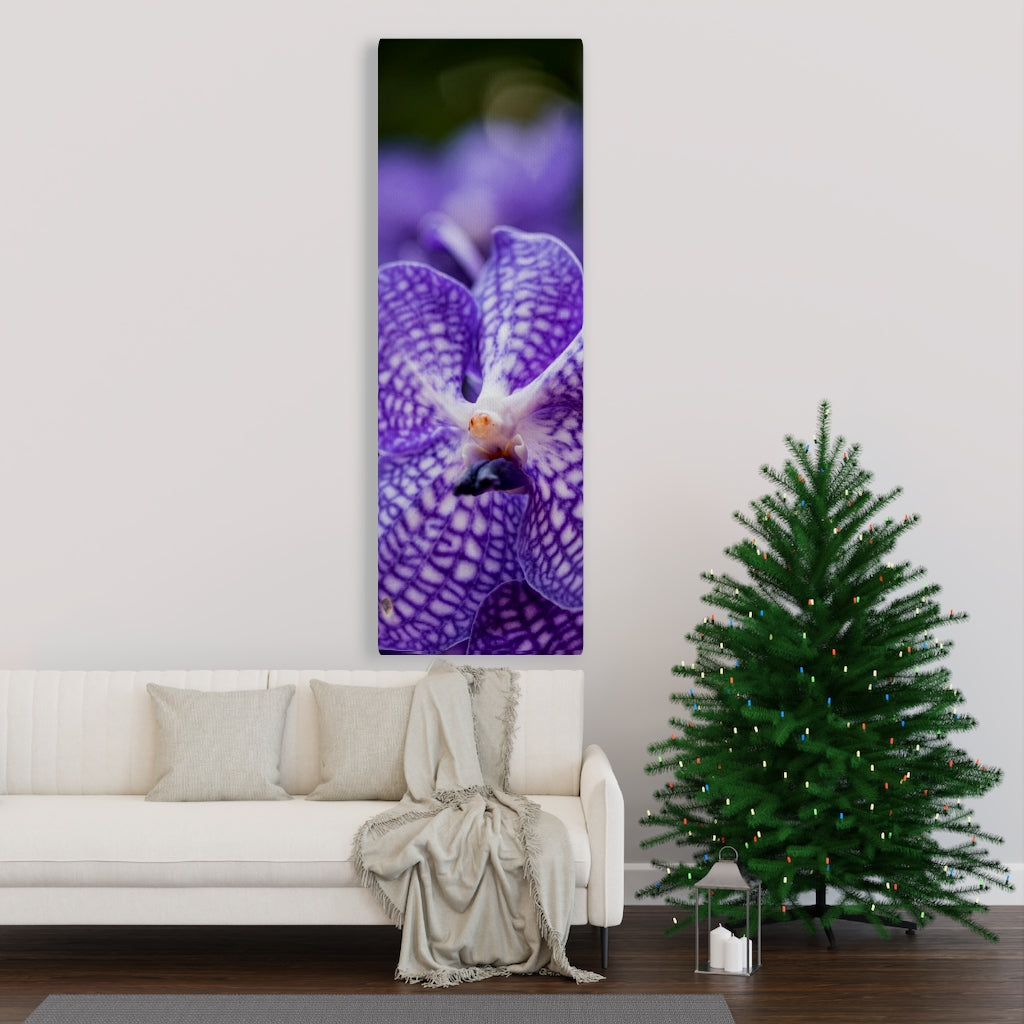 Orchid Detail - Canvas