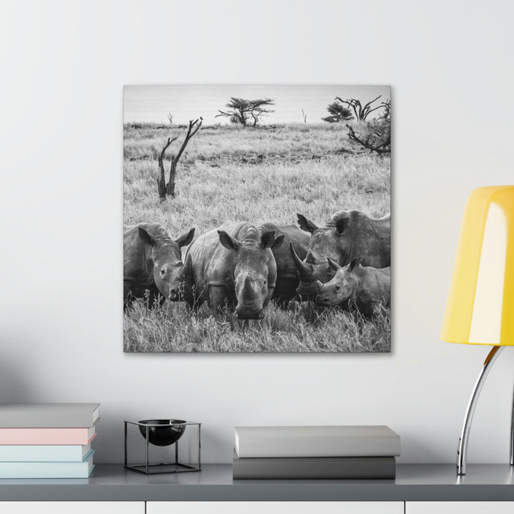 Rhino Family in Black and White - Canvas