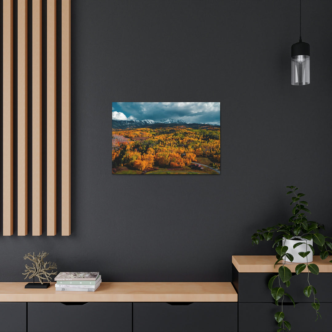 Golds of Autumn - Canvas