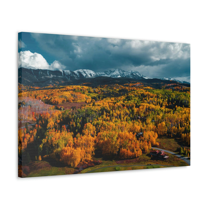 Golds of Autumn - Canvas