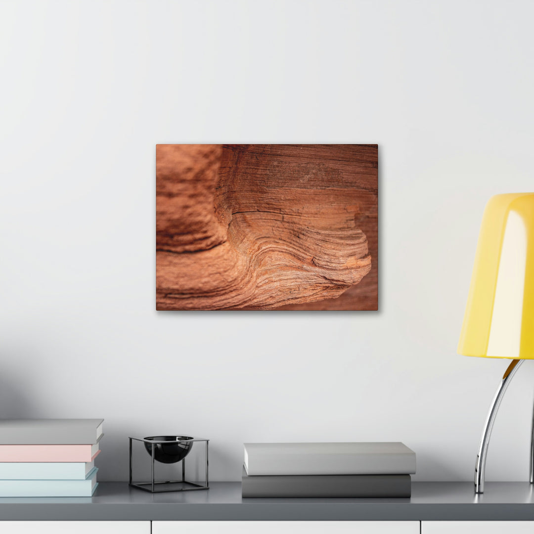 Sedimentary Rock Curves - Canvas