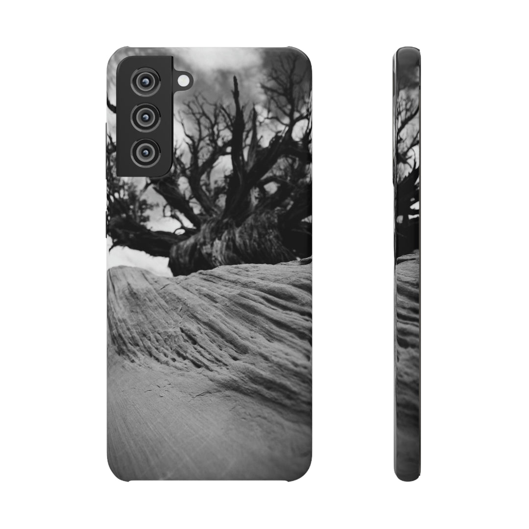 Desert Reach in Black and White - Phone Case