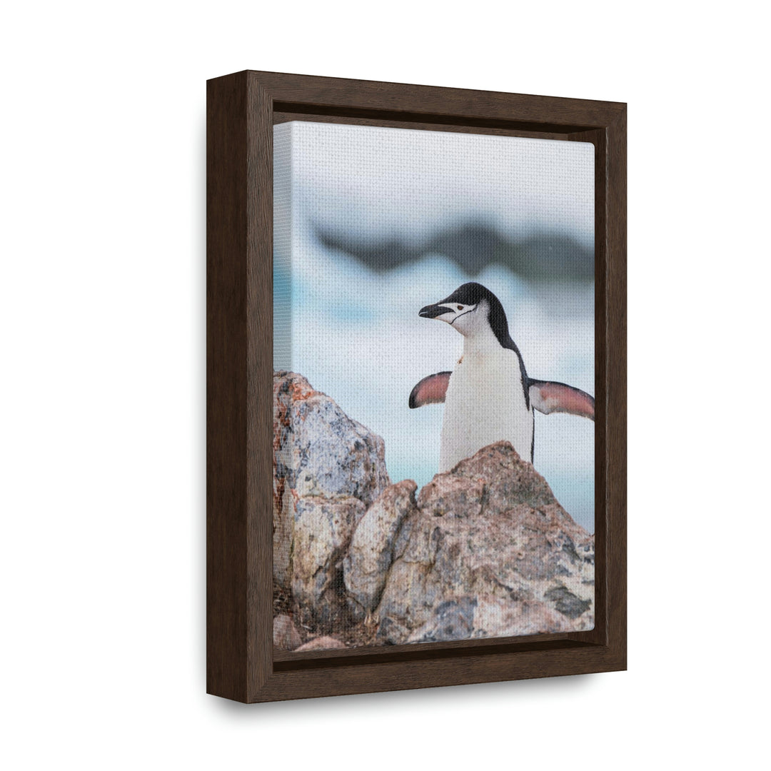 Stretched Penguin - Canvas with Frame