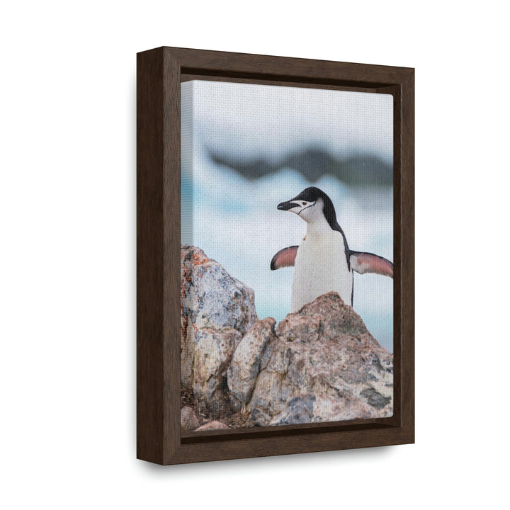 Stretched Penguin - Canvas with Frame