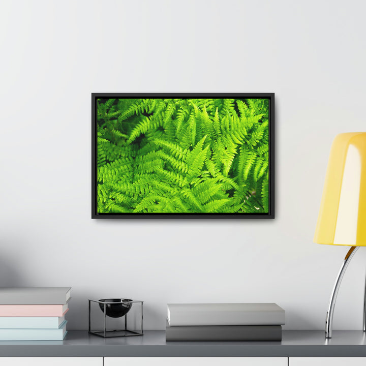 Ferns, Ferns, Ferns - Canvas with Frame