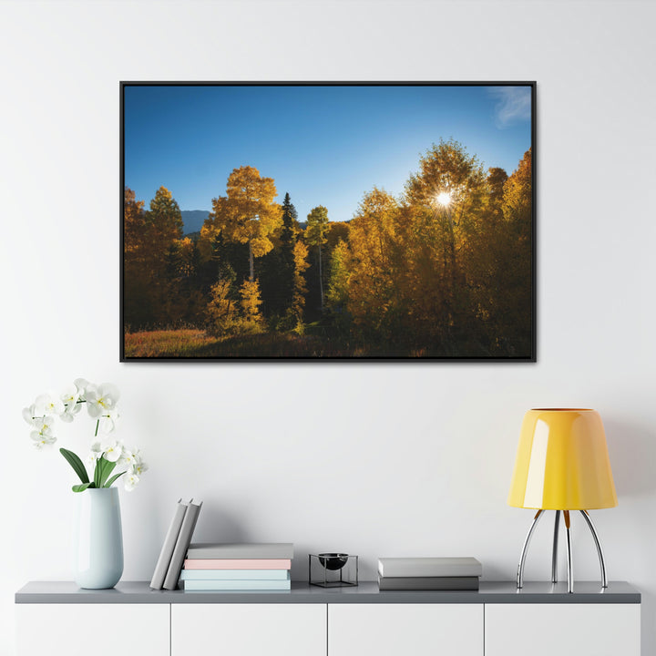 Sun Through the Aspens - Canvas with Frame