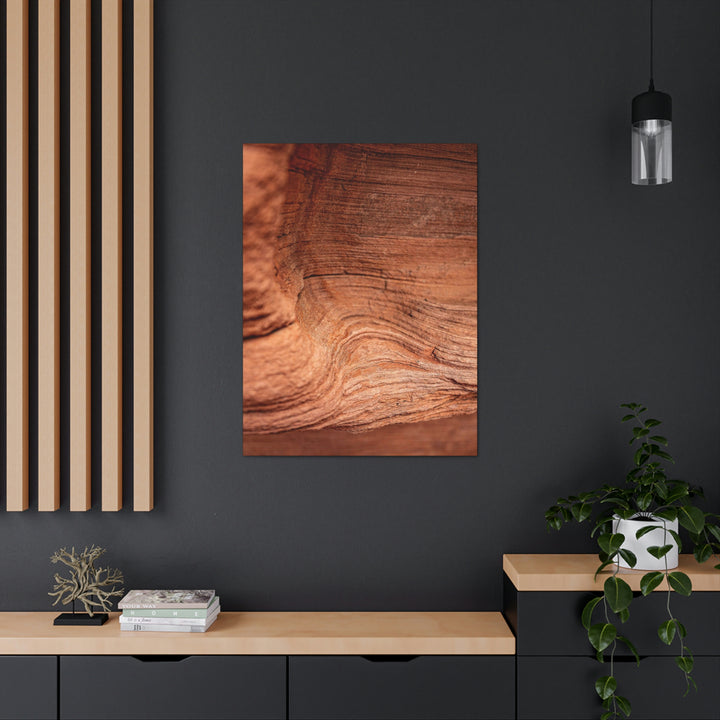 Sedimentary Rock Curves - Canvas