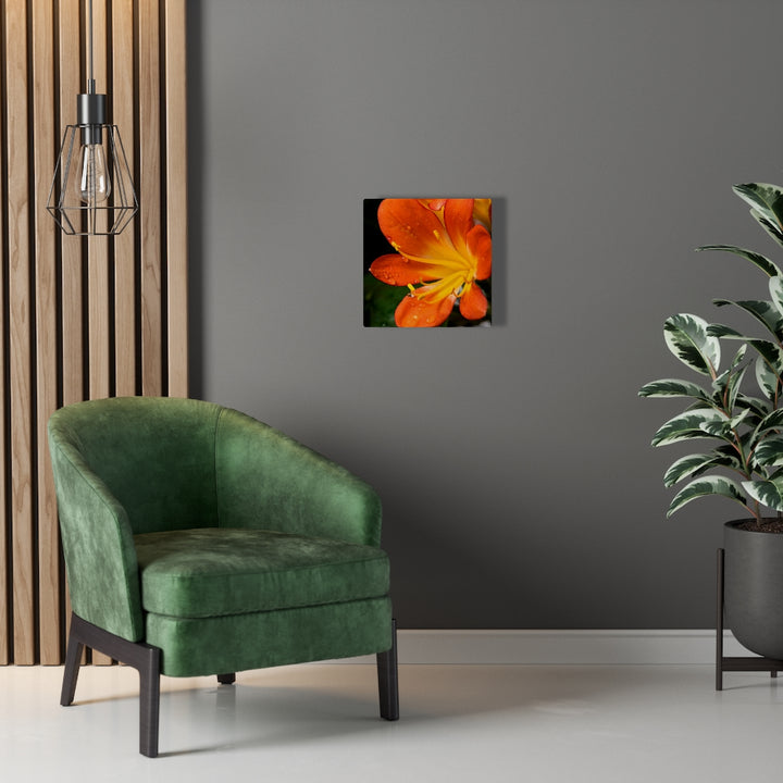 Bright Bush Lily - Canvas