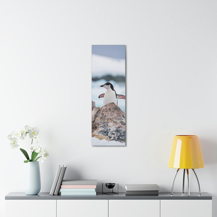 Stretched Penguin - Canvas