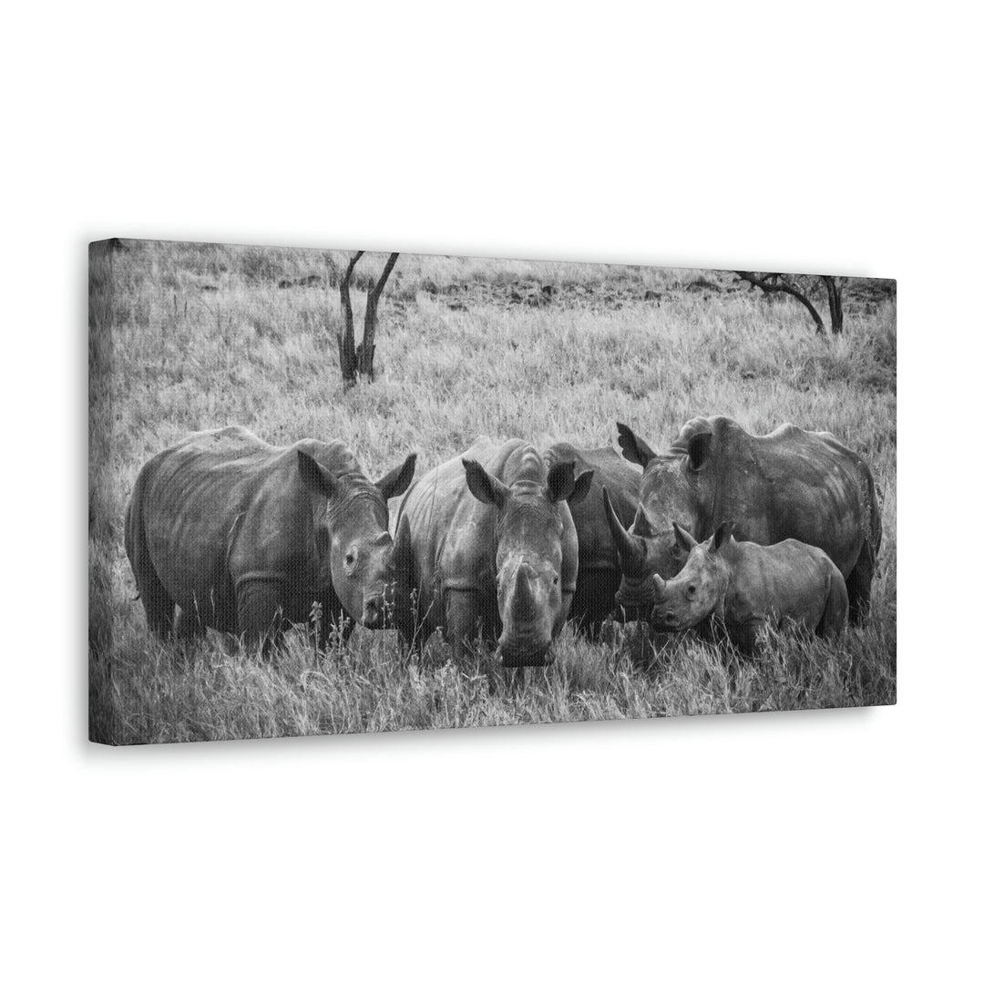 Rhino Family in Black and White - Canvas