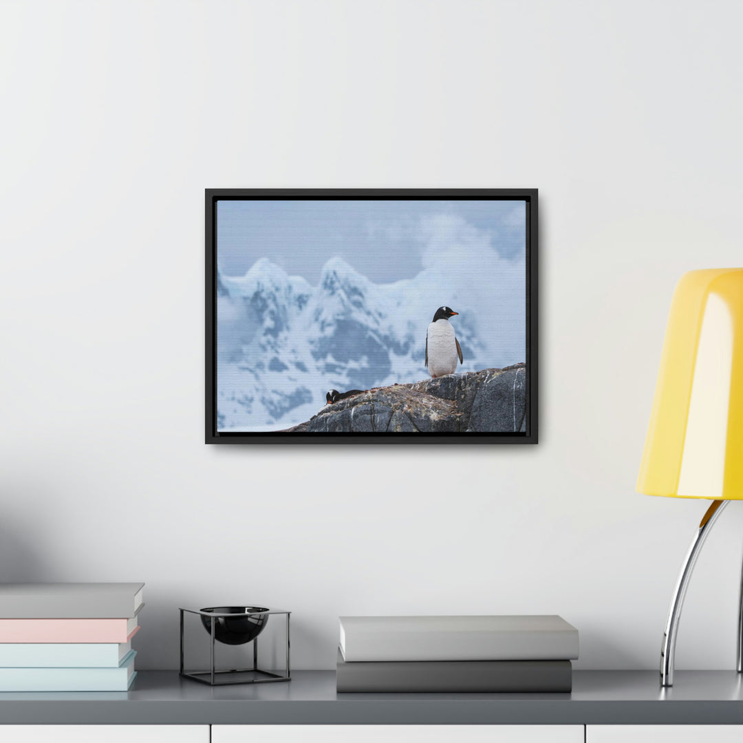 Poised Penguin - Canvas with Frame