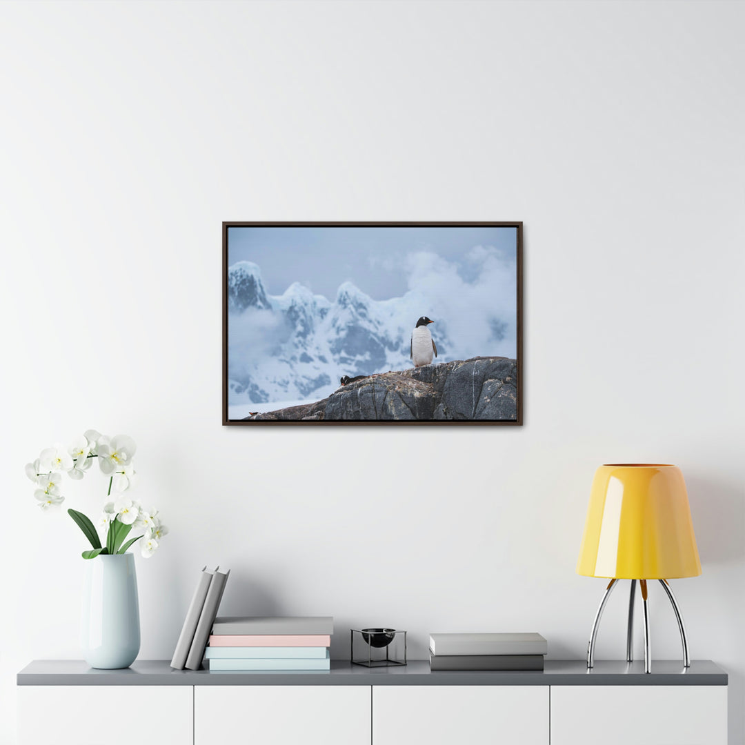 Poised Penguin - Canvas with Frame