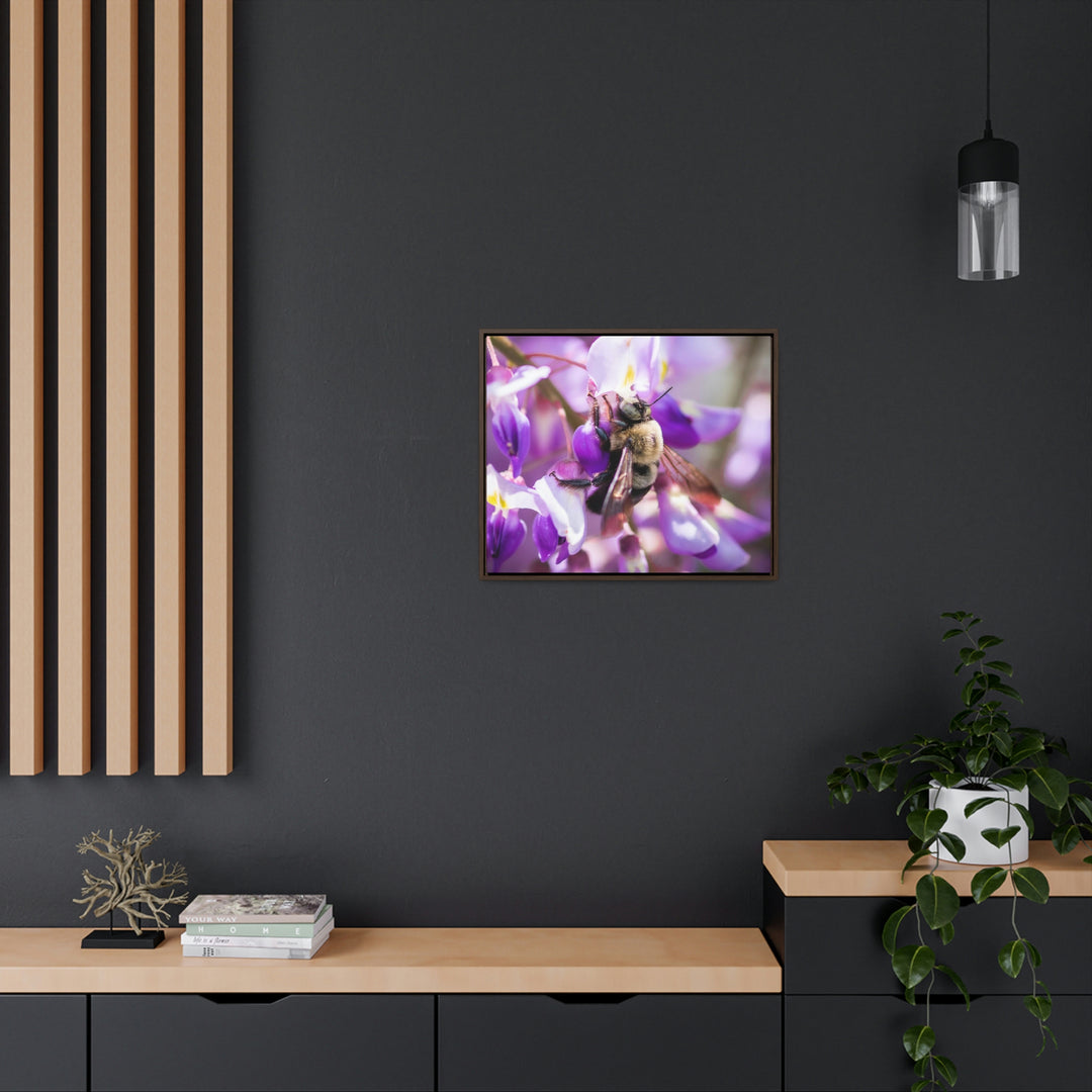 Hungry Visitor - Canvas with Frame