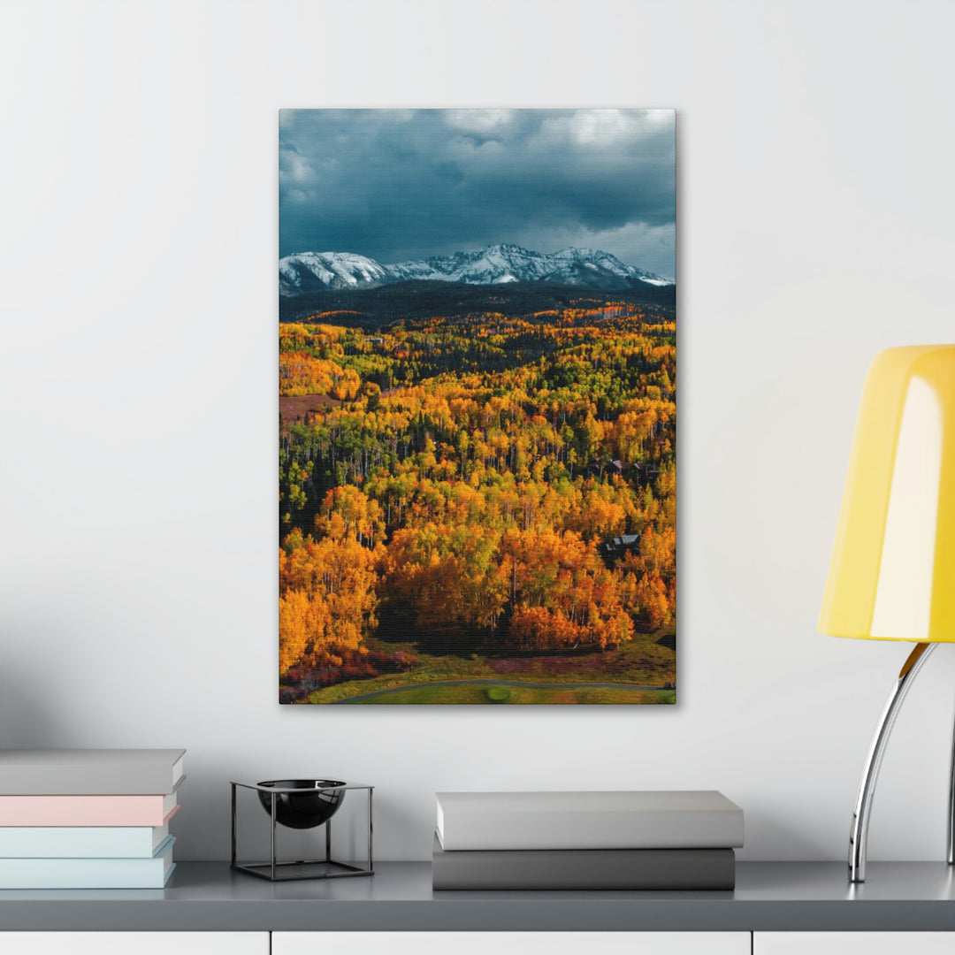 Golds of Autumn - Canvas