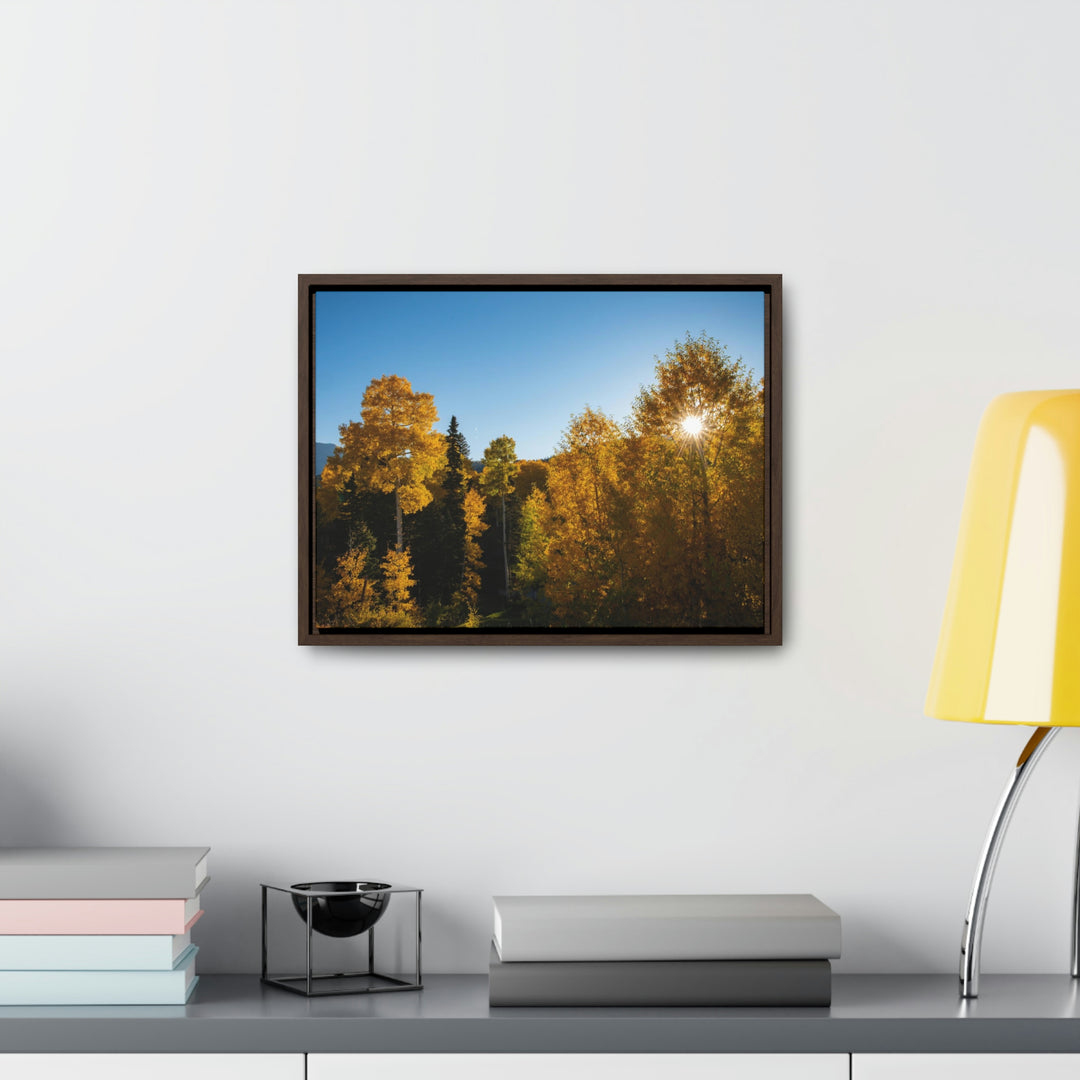 Sun Through the Aspens - Canvas with Frame