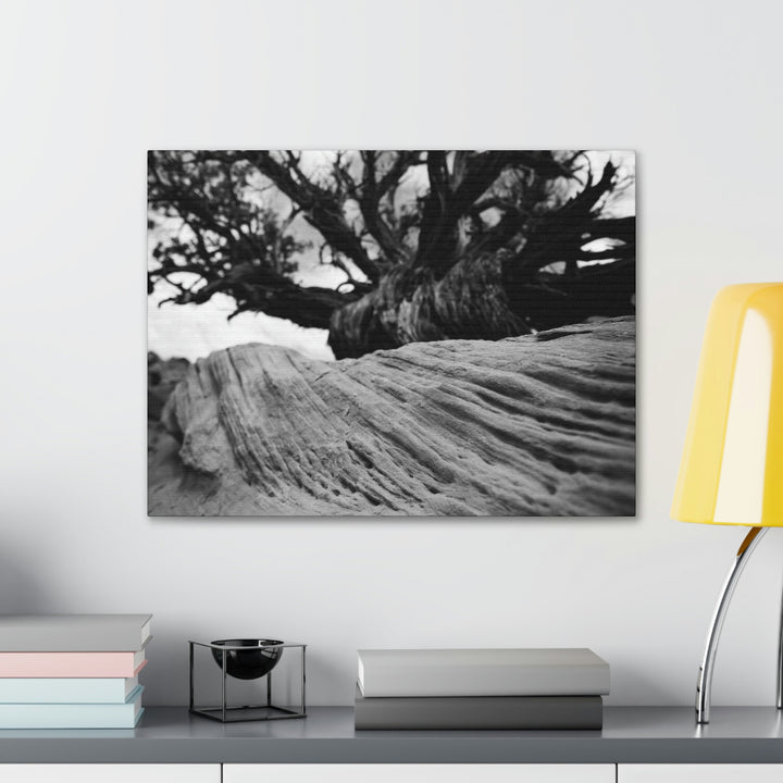 Desert Reach in Black and White - Canvas