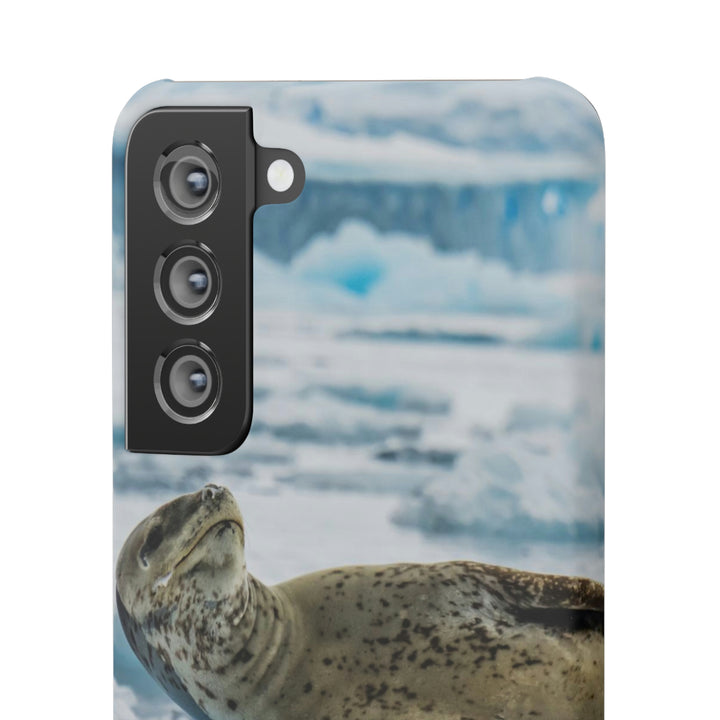 Leopard Seal Relaxing - Phone Case