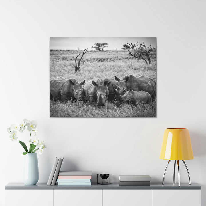 Rhino Family in Black and White - Canvas