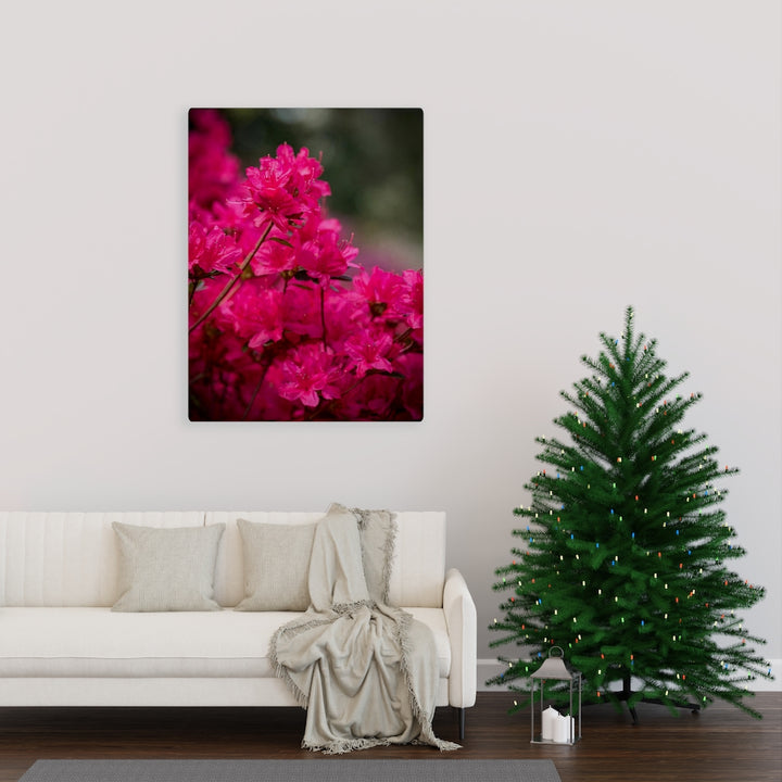 Full Bloom - Canvas