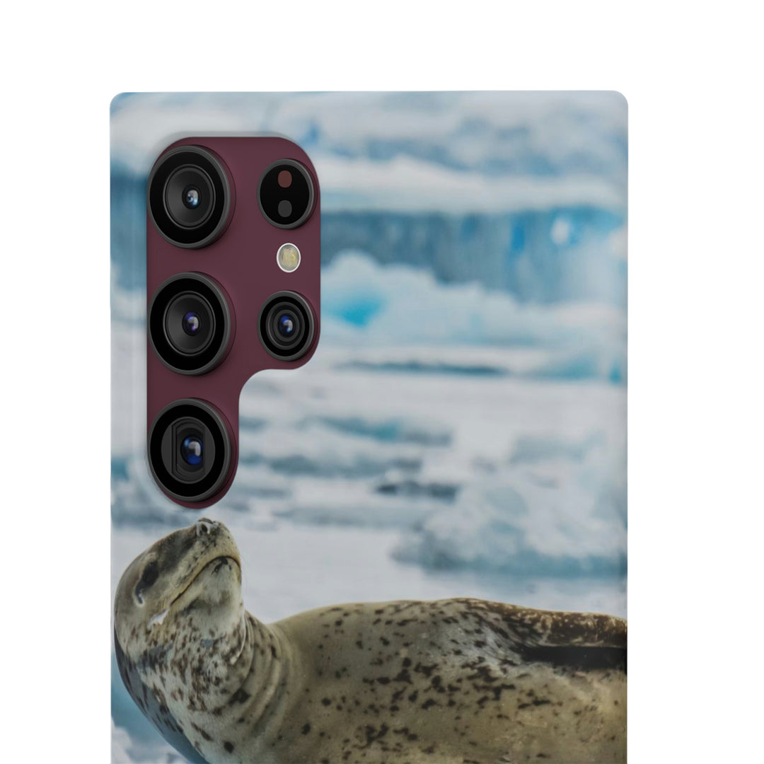 Leopard Seal Relaxing - Phone Case