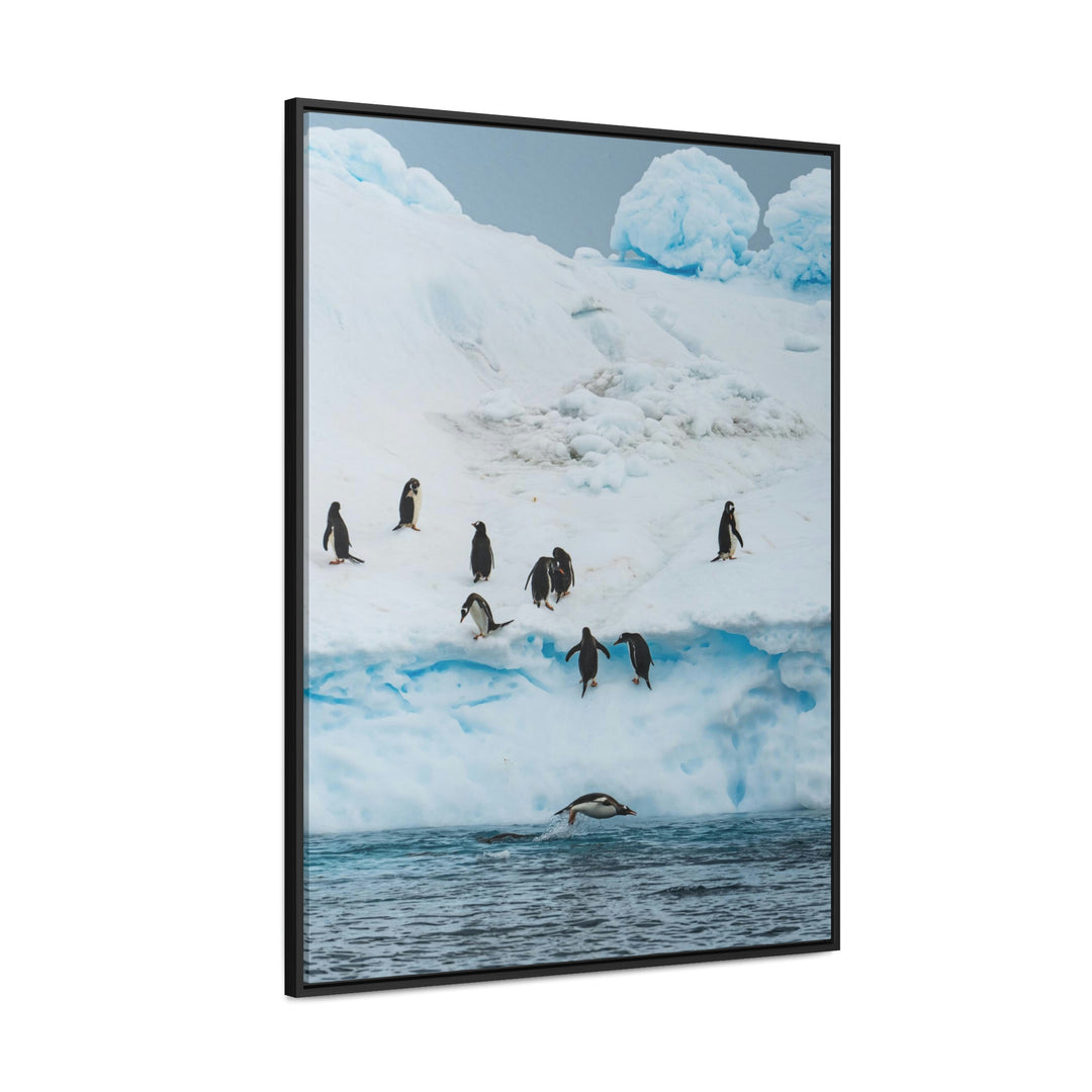 Porpoising Penguin - Canvas with Frame