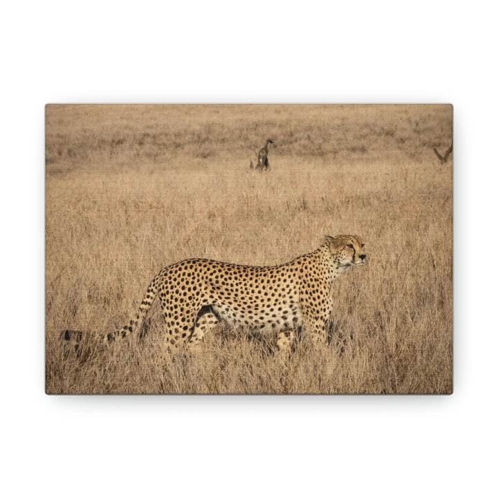 Regal Camouflage - Canvas