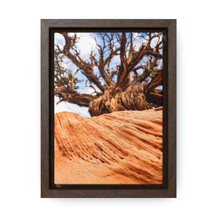 Desert Reach - Canvas with Frame