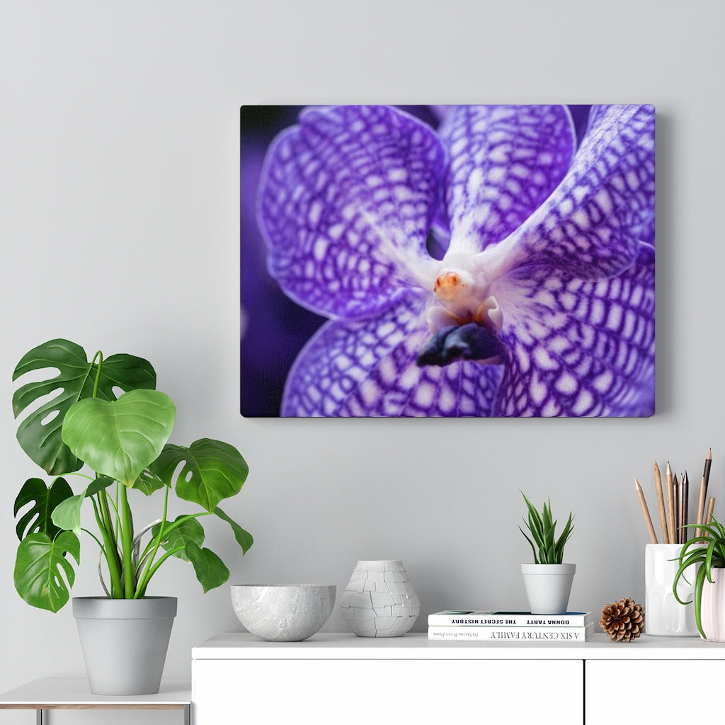 Orchid Detail - Canvas