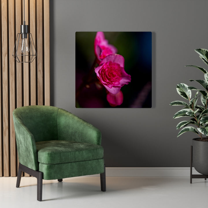 Hybrid Tea Lily - Canvas