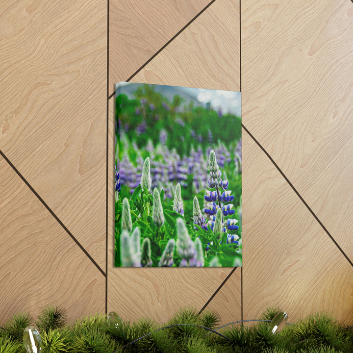 Glowing Lupin with Mountains - Canvas