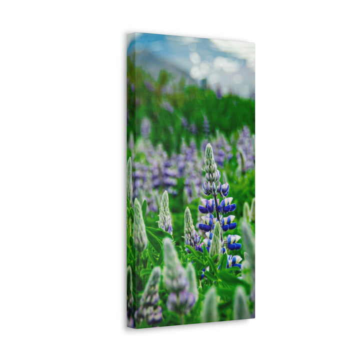 Glowing Lupin with Mountains - Canvas