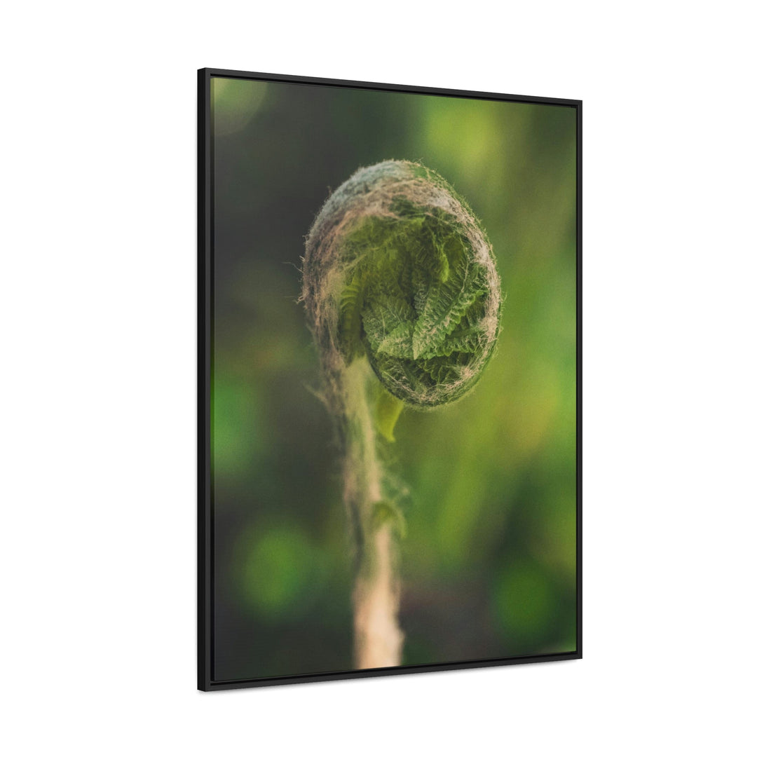 Beautiful Beginnings - Canvas with Frame - Visiting This World