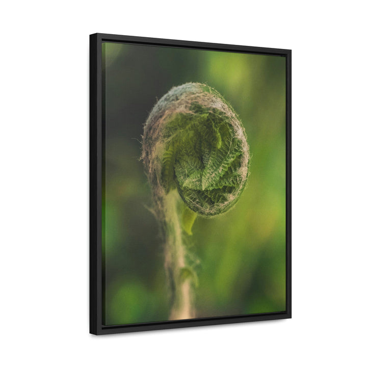 Beautiful Beginnings - Canvas with Frame - Visiting This World