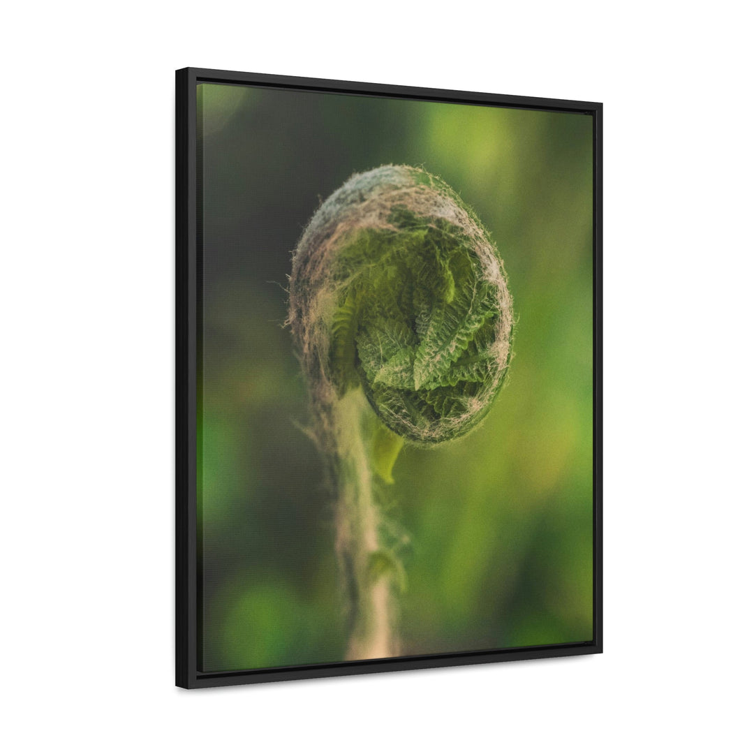 Beautiful Beginnings - Canvas with Frame - Visiting This World