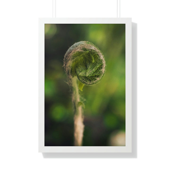 Beautiful Beginnings - Framed Print - Visiting This World