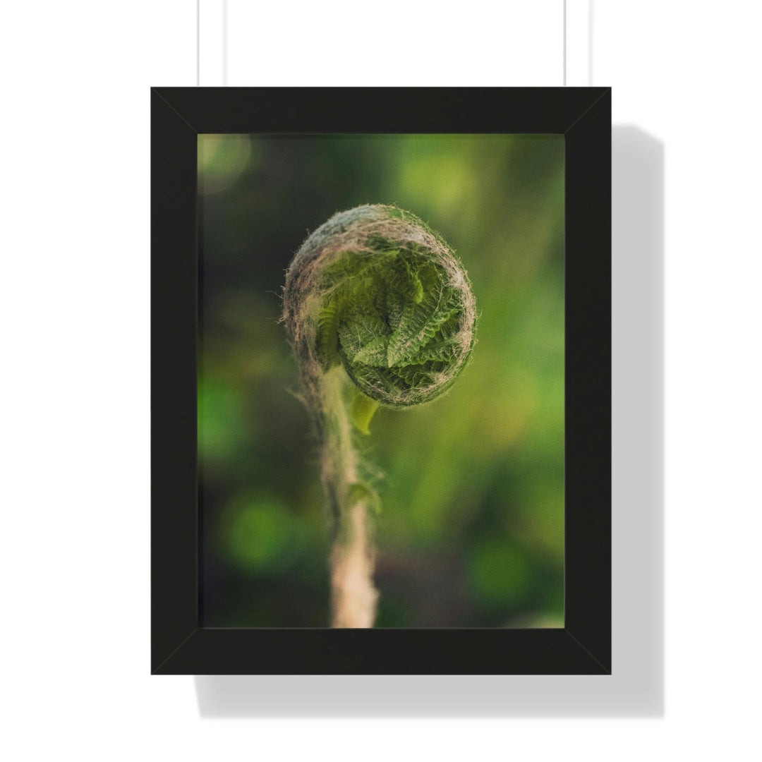 Beautiful Beginnings - Framed Print - Visiting This World