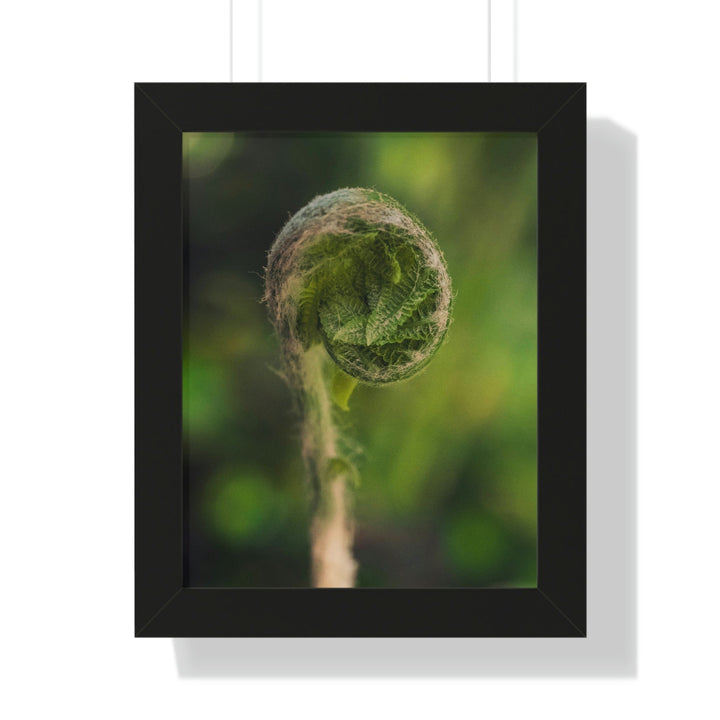 Beautiful Beginnings - Framed Print - Visiting This World