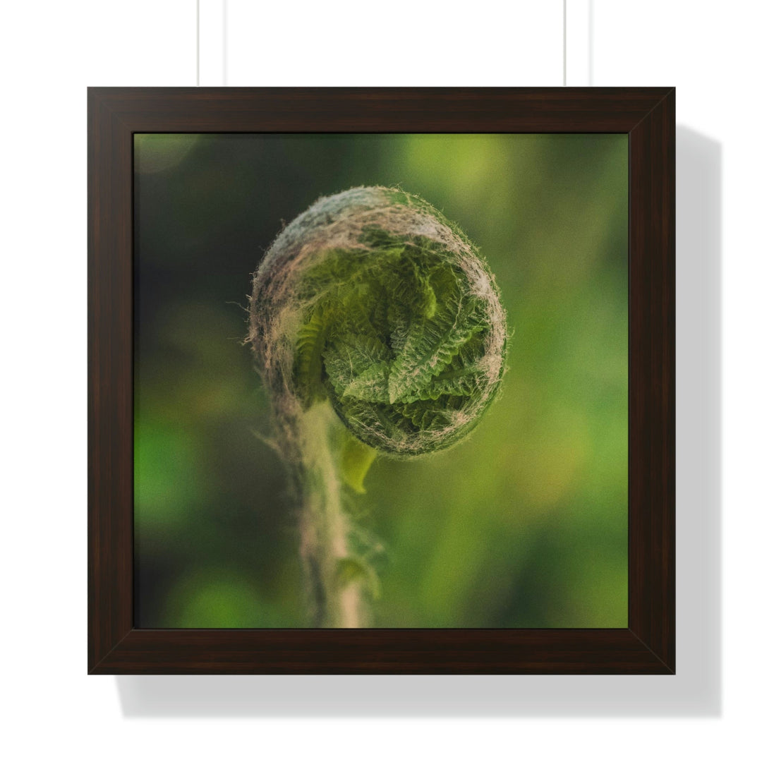 Beautiful Beginnings - Framed Print - Visiting This World