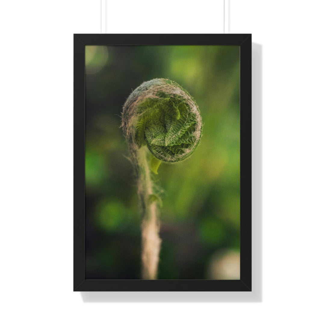 Beautiful Beginnings - Framed Print - Visiting This World