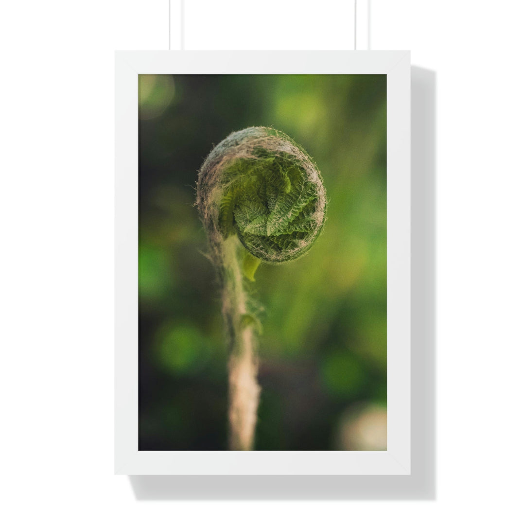 Beautiful Beginnings - Framed Print - Visiting This World