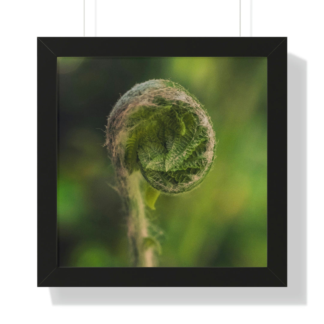 Beautiful Beginnings - Framed Print - Visiting This World