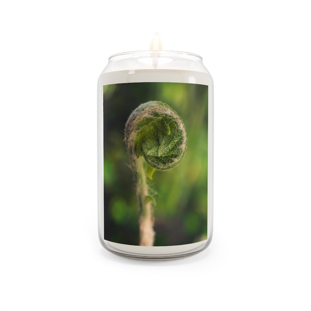 Beautiful Beginnings - Scented Candle, 13.75oz - Visiting This World