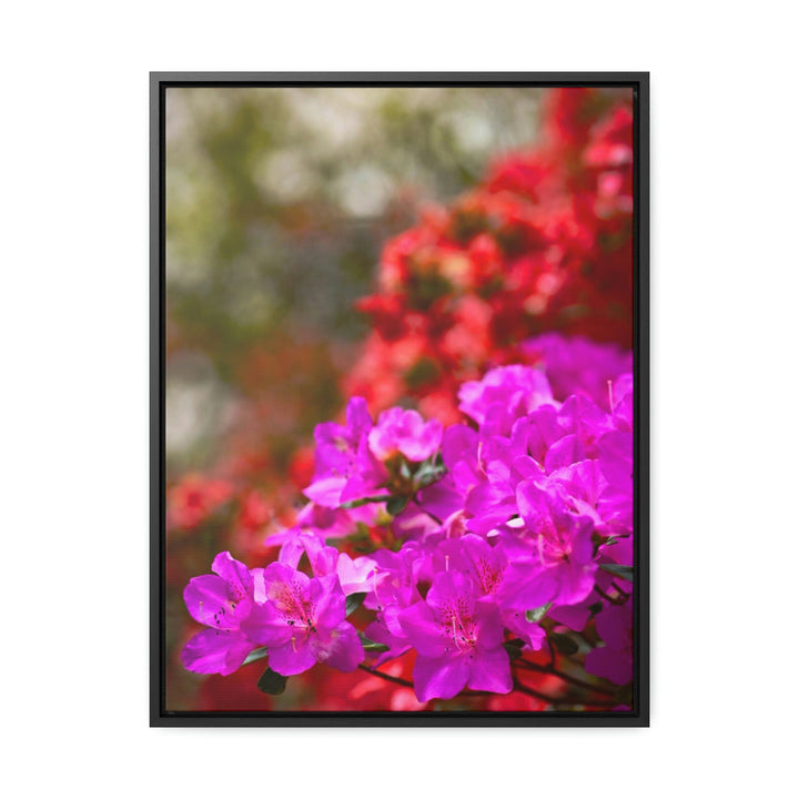 Beauty in Layers - Canvas with Frame - Visiting This World