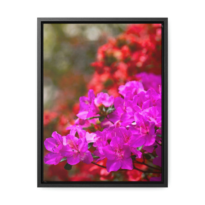 Beauty in Layers - Canvas with Frame - Visiting This World