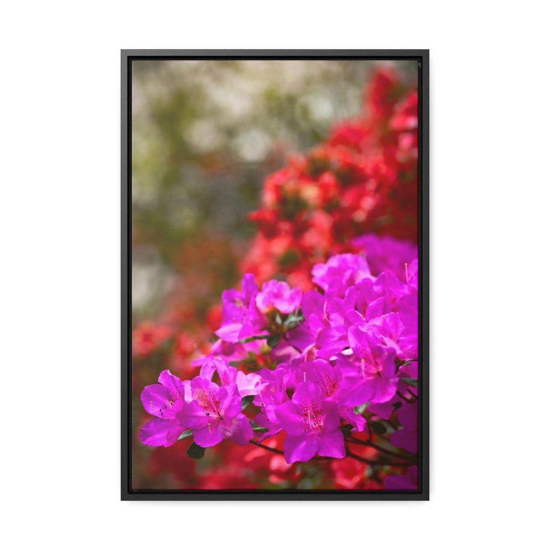 Beauty in Layers - Canvas with Frame - Visiting This World