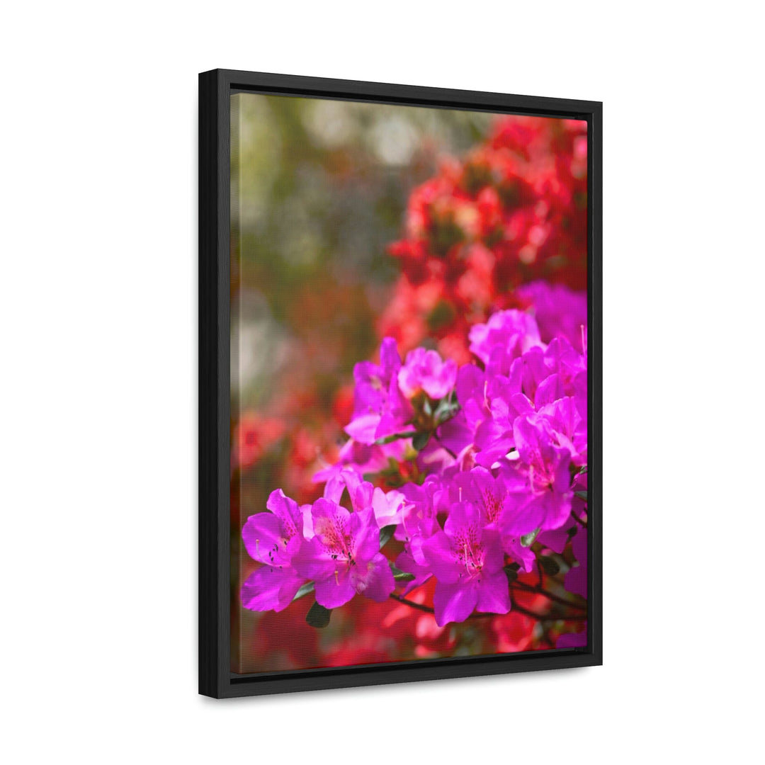 Beauty in Layers - Canvas with Frame - Visiting This World